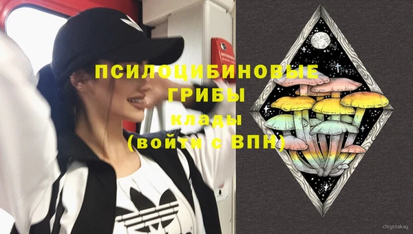соль ск Армянск