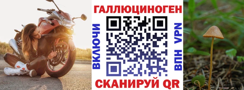 закладки  Джанкой  Галлюциногенные грибы GOLDEN TEACHER 